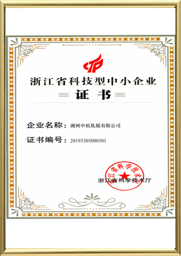 Zhejiang Eyaleti Bilim ve Teknoloji Küçük ve Orta Ölçekli İşletme Sertifikası